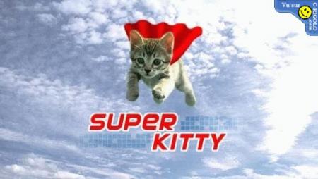 Miss kitty