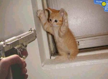 Nonnnnnnnnnnnnnnnnnnnnnnn